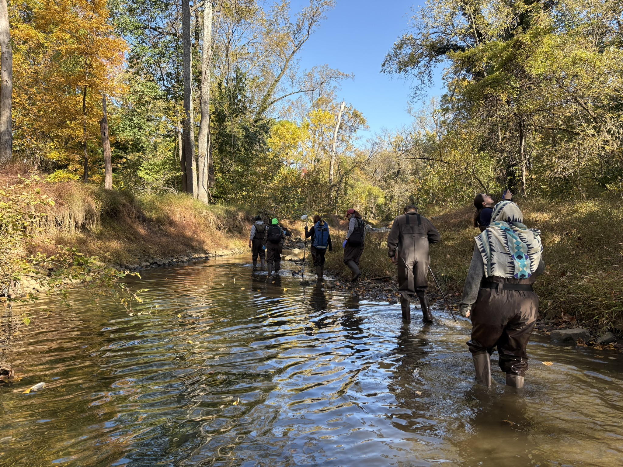 Blue Water Baltimore Hosts One of our Own at their Outfall Screening Blitz Volunteer Event