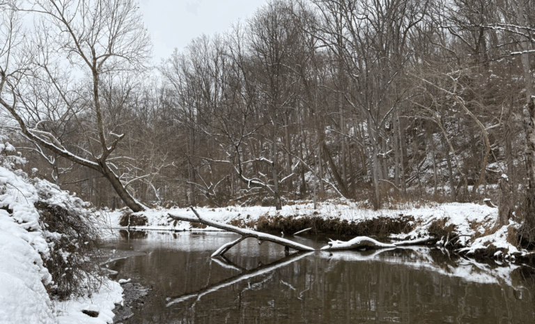 Gunpowder RIVERKEEPER® Partners with Blue Water Baltimore for Little Falls Bacteria, Optical Brighteners, and Road Salt Monitoring