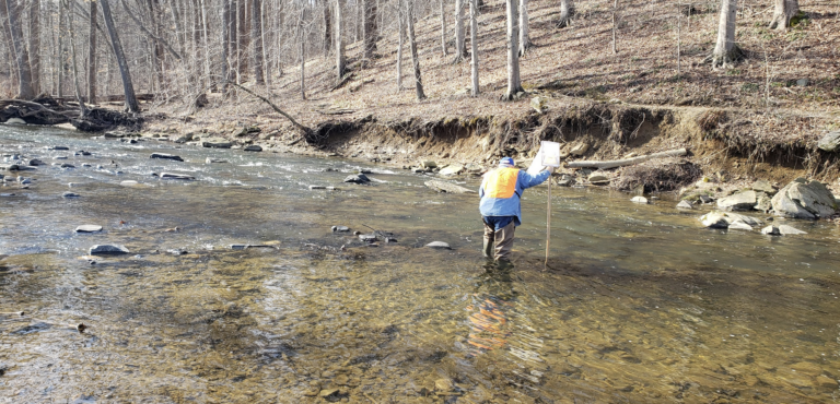 Gunpowder RIVERKEEPER® Begins Anadromous Fish Spawn Surveying with Maryland Department of Natural Resources Fisheries