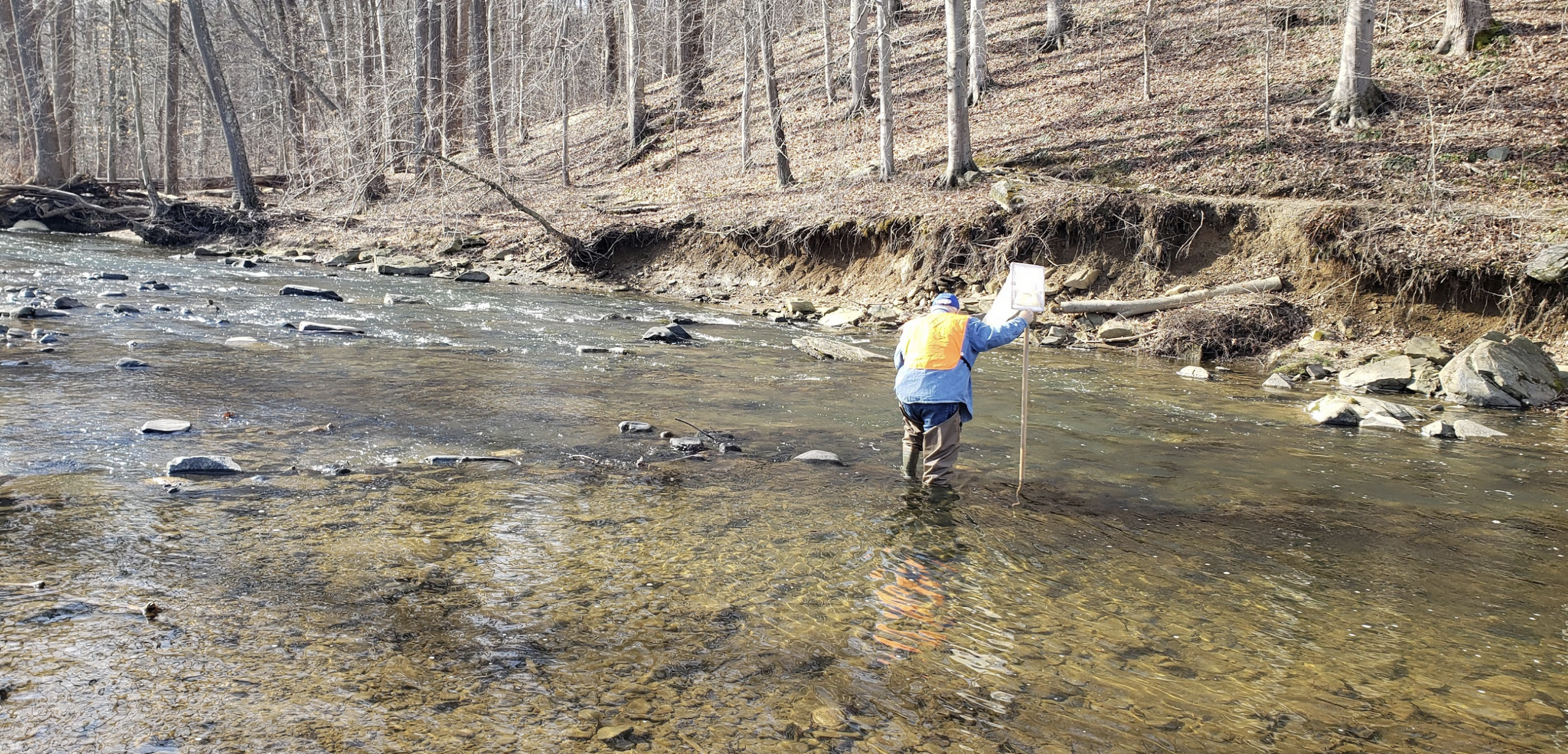 Gunpowder RIVERKEEPER® Begins Anadromous Fish Spawn Surveying with Maryland Department of Natural Resources Fisheries