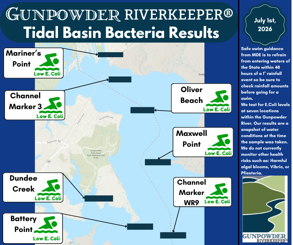 Gunpowder RIVERKEEPER® Tidal Basin Bacteria Results, July 1st 2026