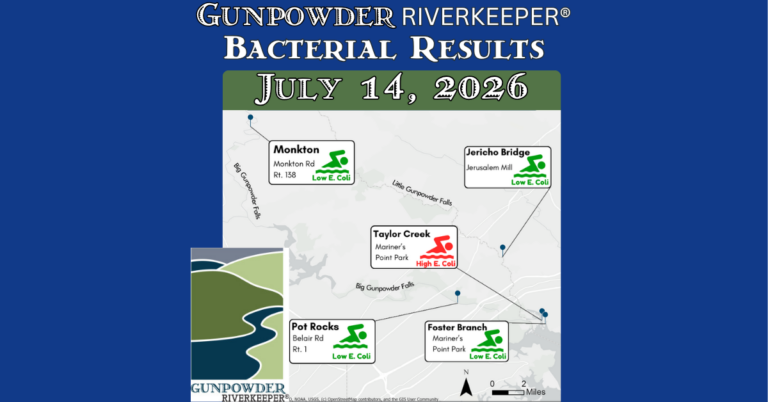 Gunpowder River Water Quality Update: July 14, 2026