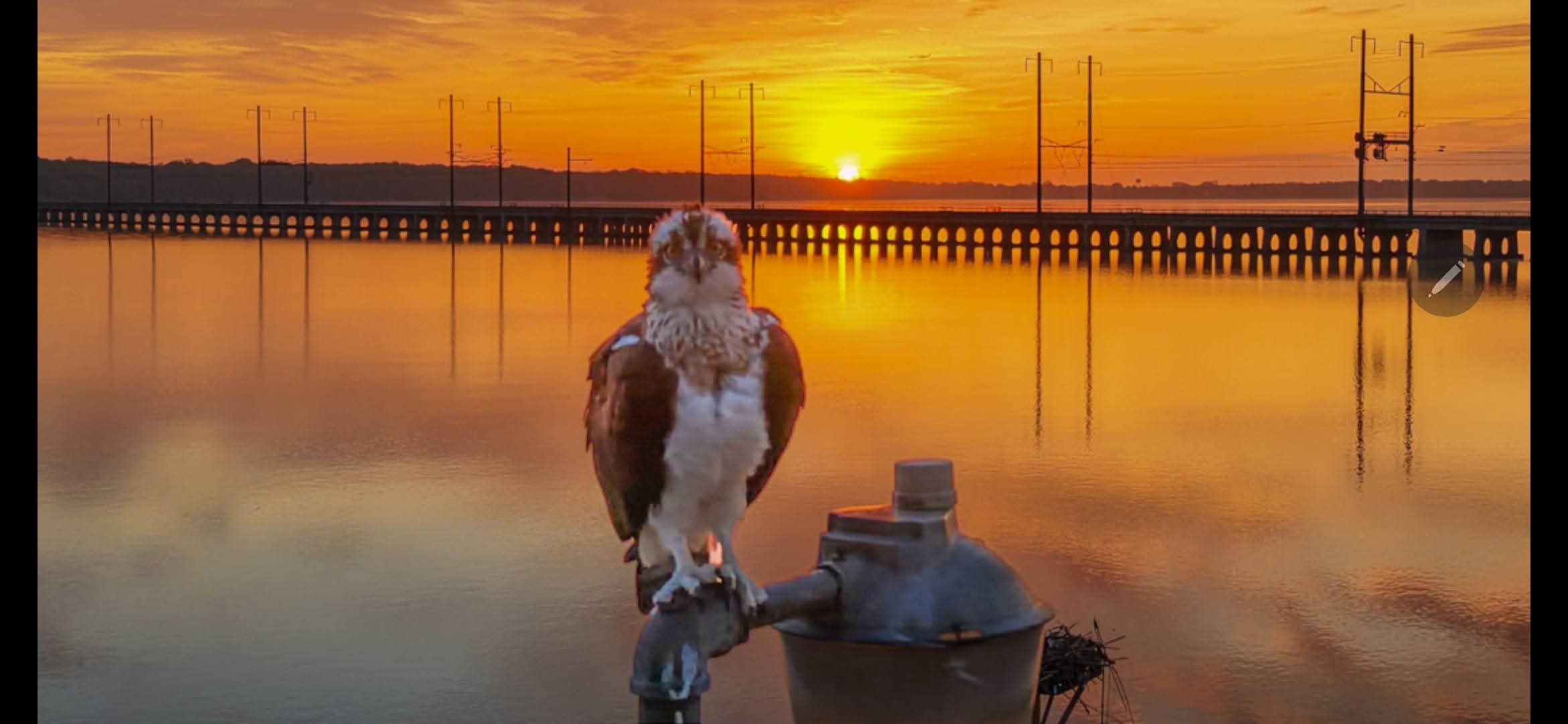 Bridge Sunset from Dave