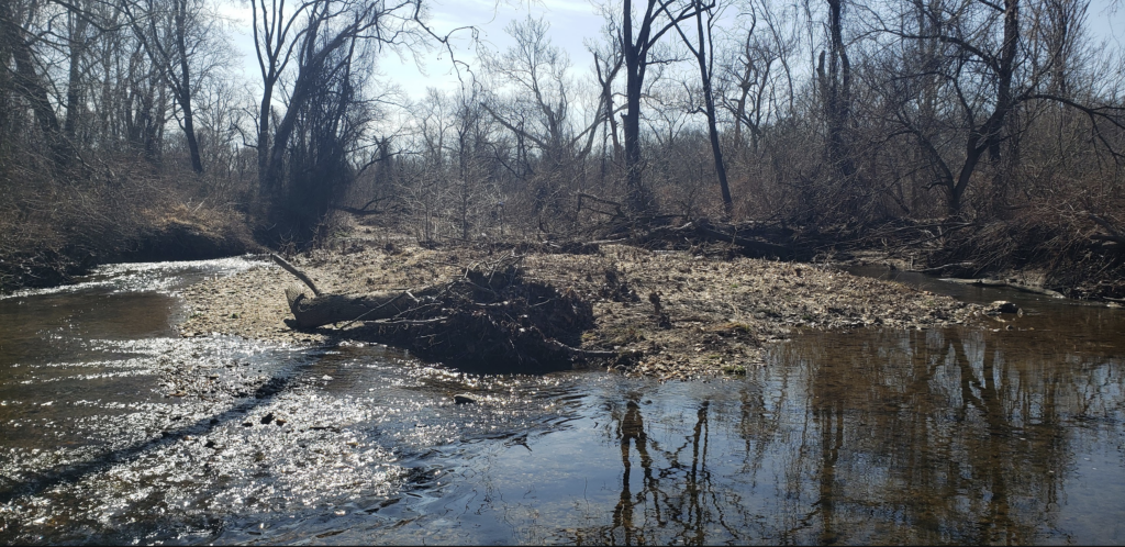 Harford County Health Department Asks Public to Refrain from Swimming Downstream of Bynum Run Sewage Spill Until at Least August 13