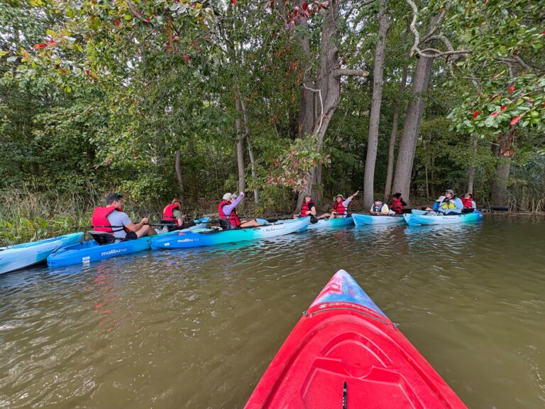 Gunpowder RIVERKEEPER® Hosts SAV Training in collaboration with MDNR at Hammerman State Park