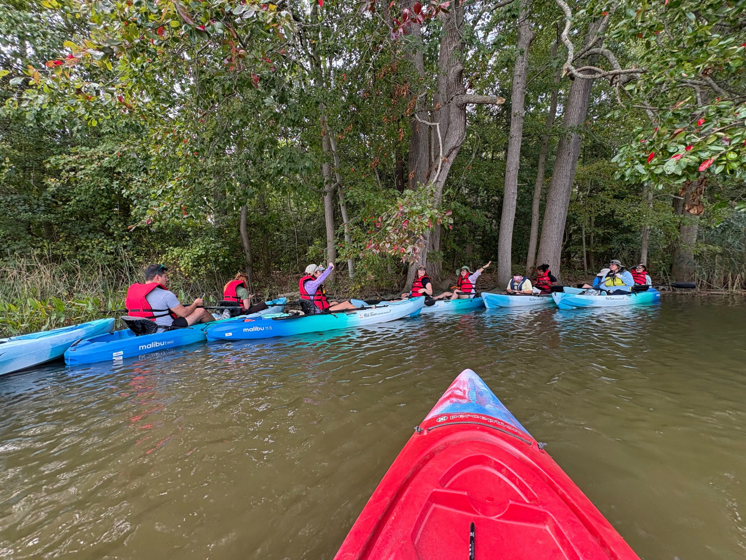 Gunpowder RIVERKEEPER® Hosts SAV Training in collaboration with MDNR at Hammerman State Park